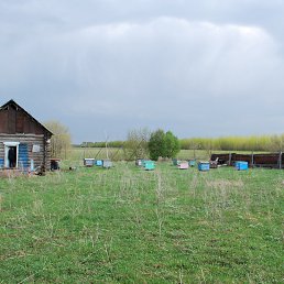 ���� �����, ������, 52 ���� - ��������� 8 ������ 2023