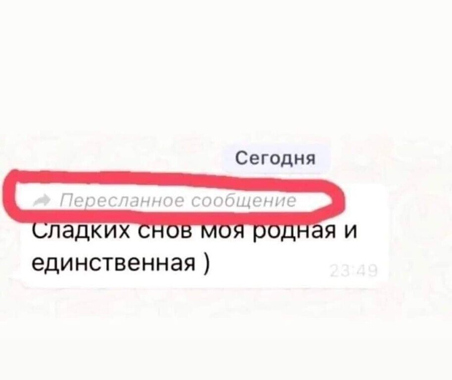 ***Victoria Viktorovna*** - 7  2022  13:42
