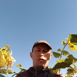 ������, ������, 37 ���