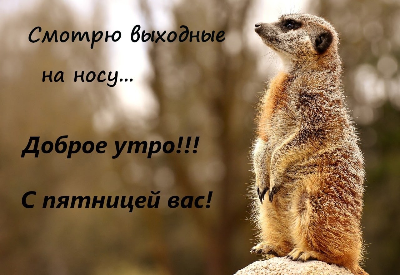 ***Victoria Viktorovna*** - 21  2022  05:13
