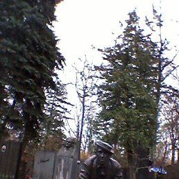 ���� ��������, ������, 62 ���� - ��������� 9 ������� 2023