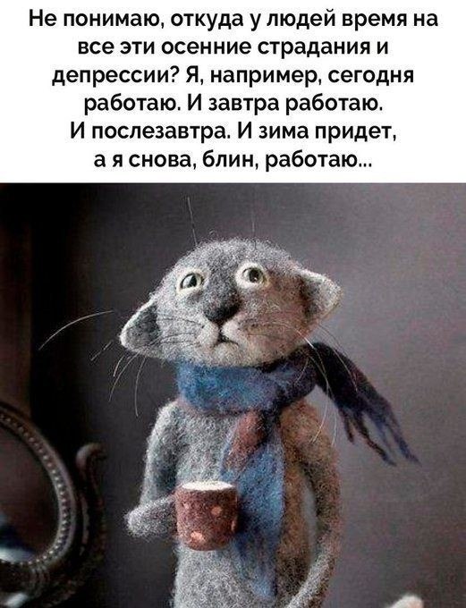   ,    . - 24  2022  19:17