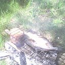 ���� �������, �������, 65 ��� - ��������� 9 ������� 2023