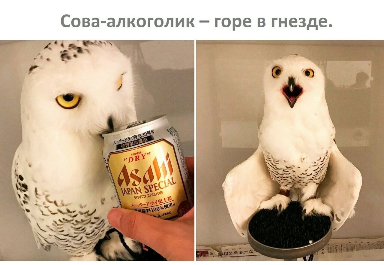    - 6  2022  17:36
