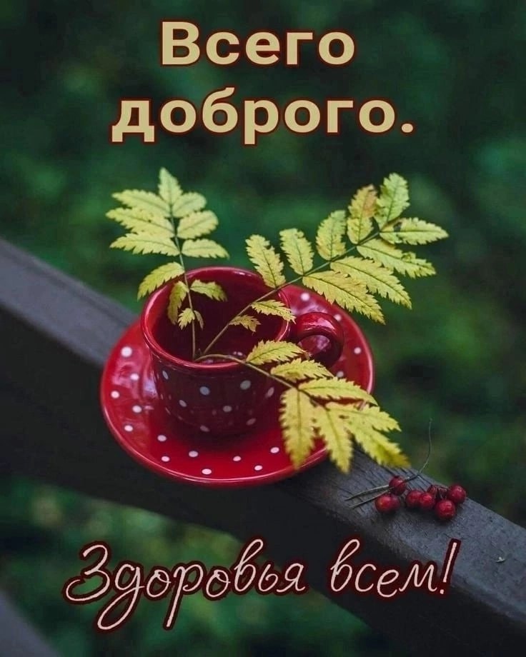  - 30  2022  03:35