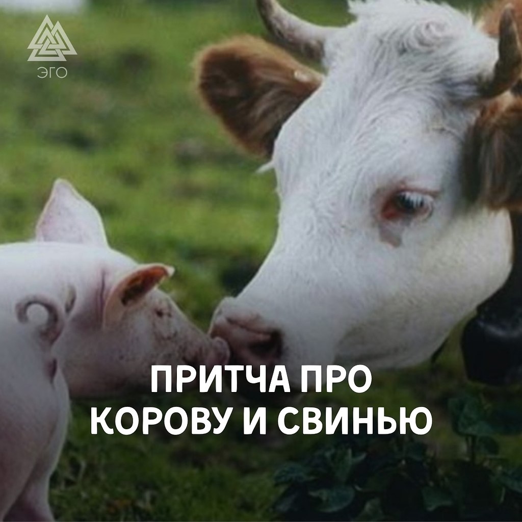 Встретились два богатых друга в одном заведении: — Слушай, друг, не могу понять, почему меня все ...