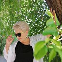 ���� ����, ���������, 61 ��� - ��������� 11 ���� 2022 � ������ ���� ����������