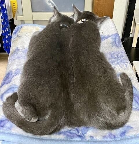   ,      ,   )) - 3