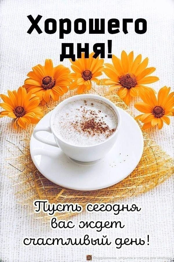   ,    . - 8  2022  17:39 - 3