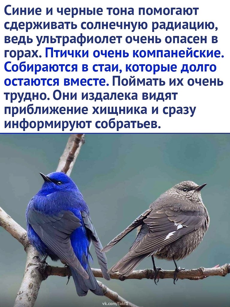   - 2