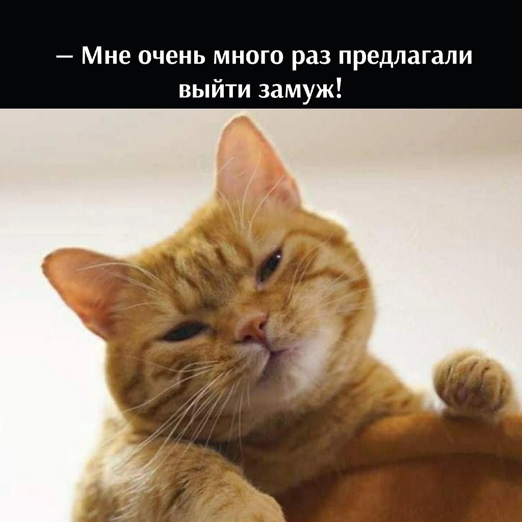       - 8  2022  16:27 - 2