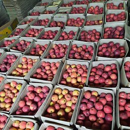 ���� ����, ������������, 35 ��� - ��������� 5 ������� 2023