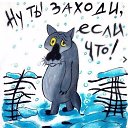 ���� ���������, ���, 49 ��� - ��������� 23 ������� 2022 � ������ ���� ����������