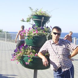 ������, ���, 40 ���