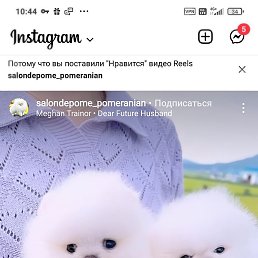 �����, ������, 47 ���