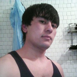 Sardor, �������, 31 ���