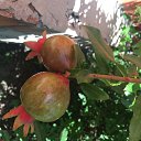 ���� �����, �������, 48 ��� - ��������� 2 ���� 2022 � ������ ���� ����������