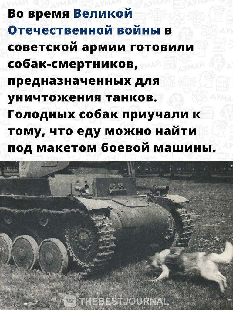    ,       . - 2