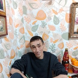 �����, ������, 51 ���