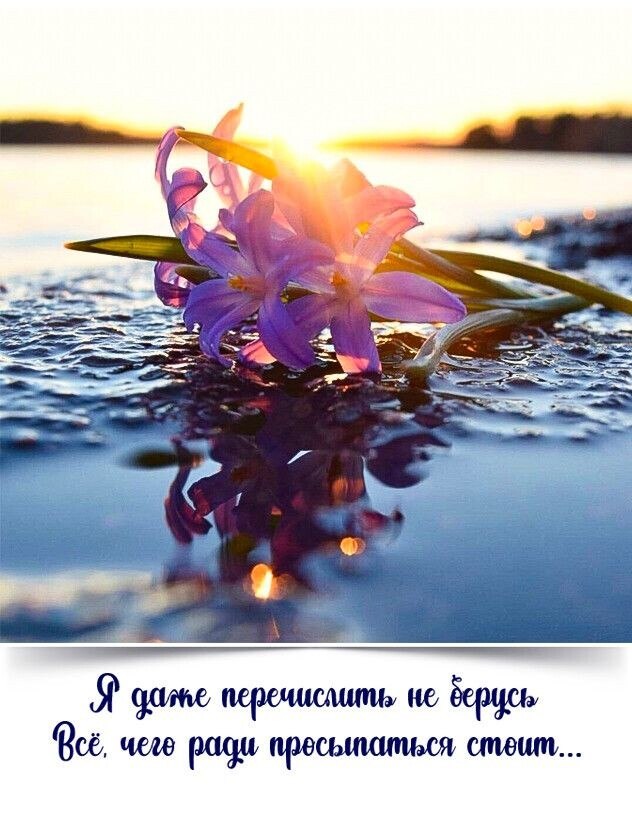 ***Victoria Viktorovna*** - 31  2022  05:51