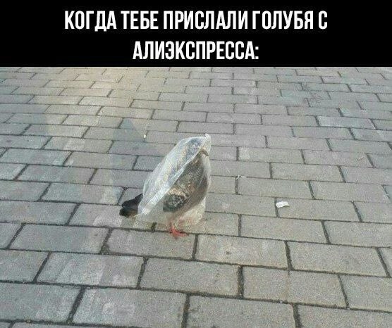    - 10  2023  21:12