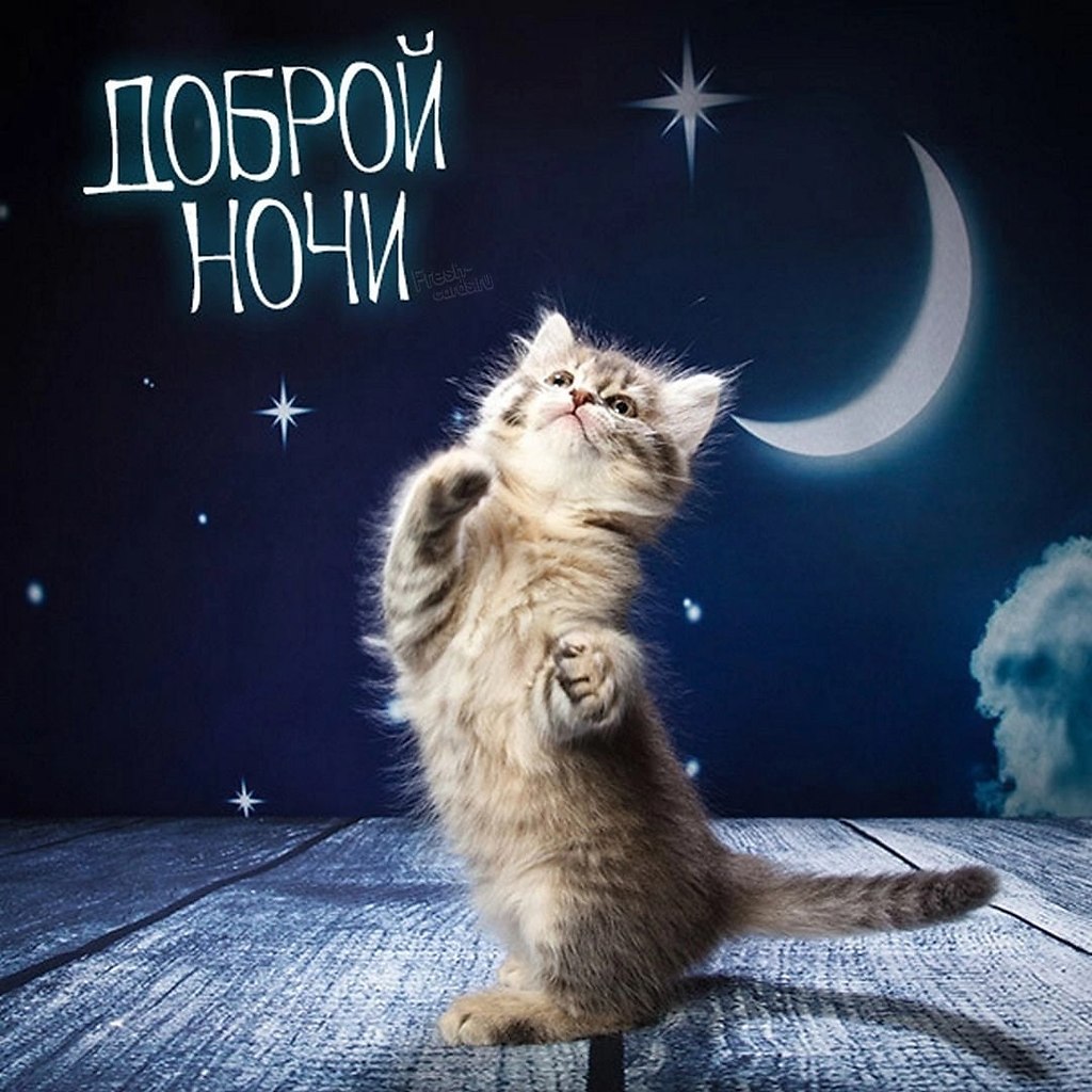   ,    . - 2  2022  21:08 - 3
