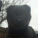 ���� ����, ����, 49 ��� - ��������� 19 ������� 2023 � ������ ���� ����������