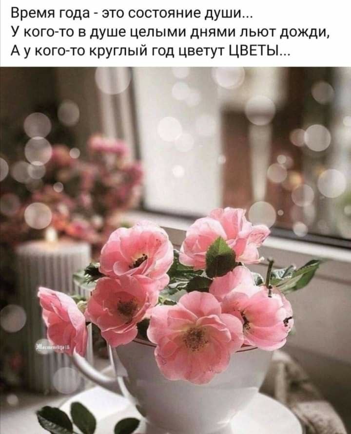   - 1  2022  13:35