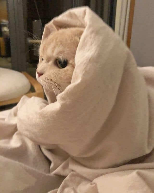 -      ,     ? - ,     ... - 3