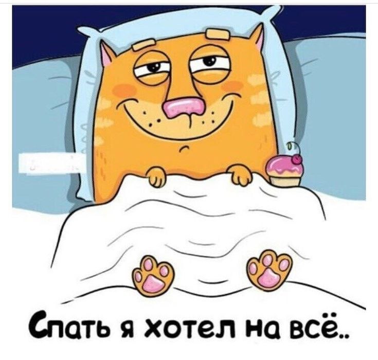   - 28  2022  23:15