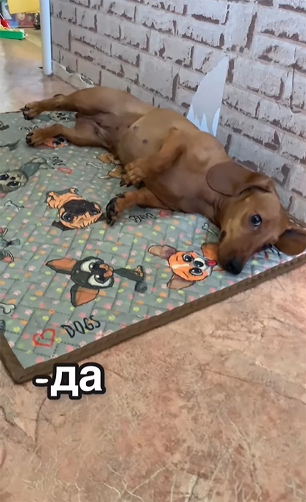    ,   ! - 5