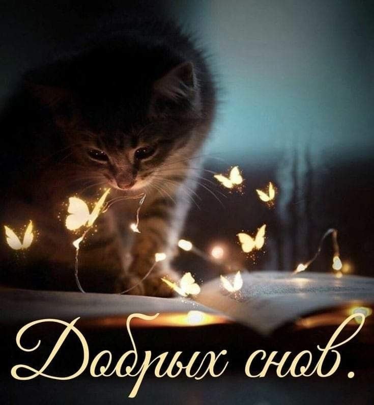   - 17  2022  22:37