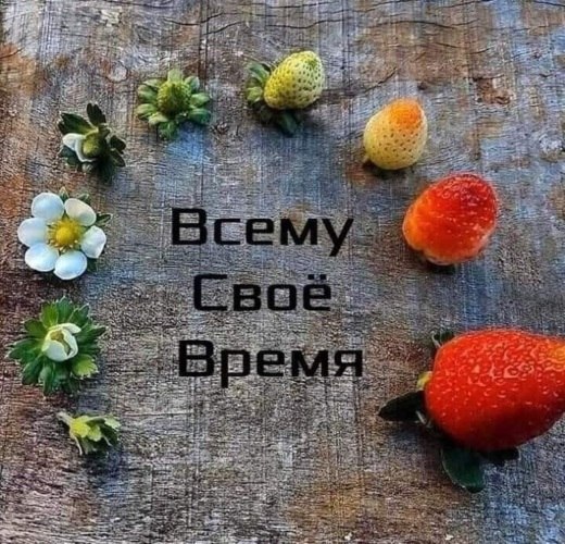   - 6  2022  19:27