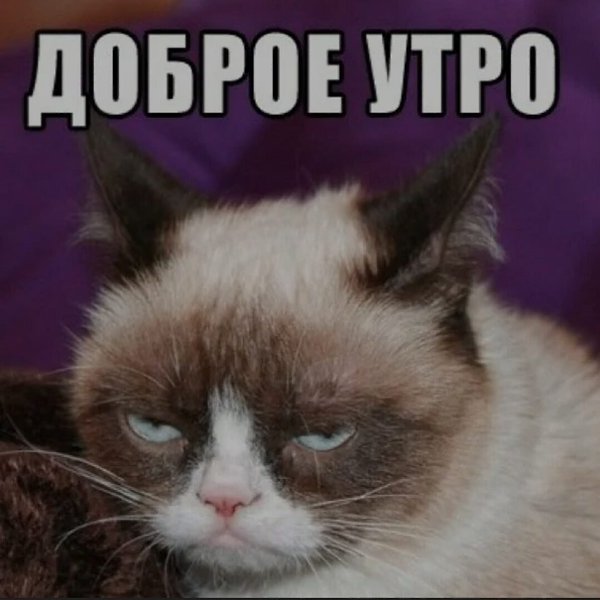 ***Victoria Viktorovna*** - 2  2022  05:38