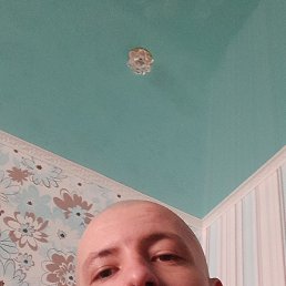, , 29 