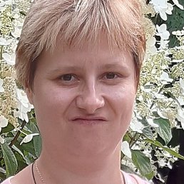 �����, ������, 44 ����