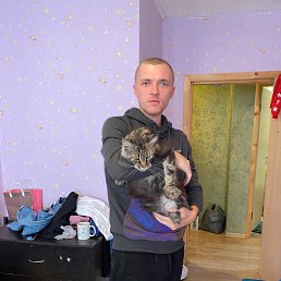 ���� ����, ������������, 34 ���� - ��������� 16 ������� 2023