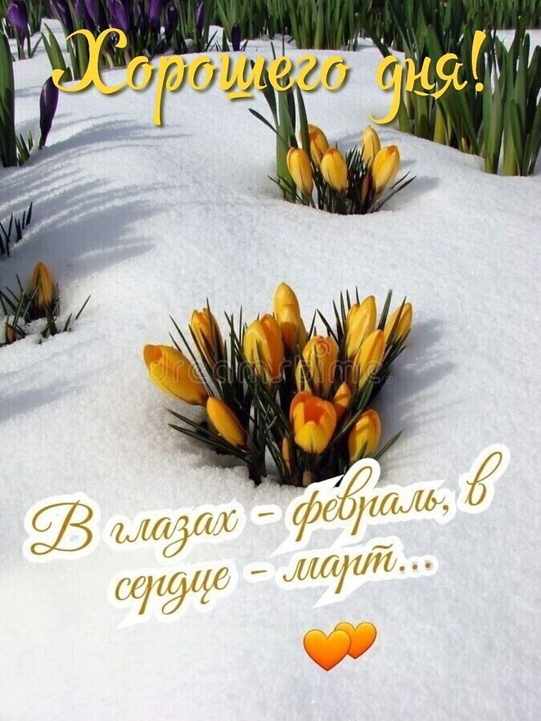   - 13  2023  09:11