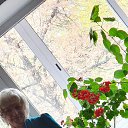 ���� �����, �����������, 65 ��� - ��������� 13 ������� 2023 � ������ ���� ����������