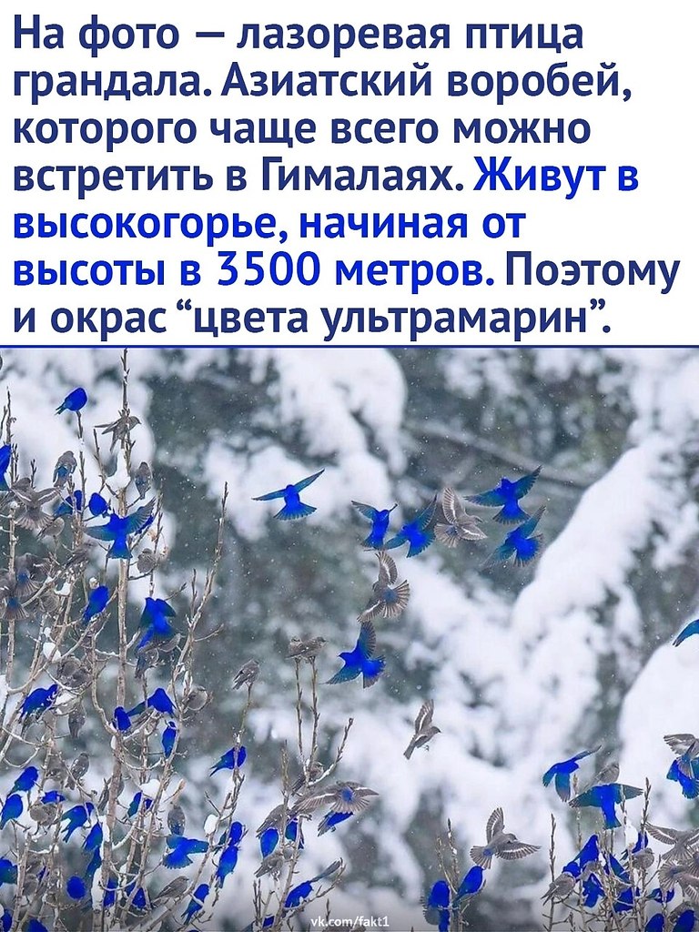   - 3
