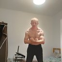  Pitbull, , 34  -  27  2022    