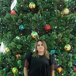 ���� ��, ���������, 45 ��� - ��������� 22 ������ 2022