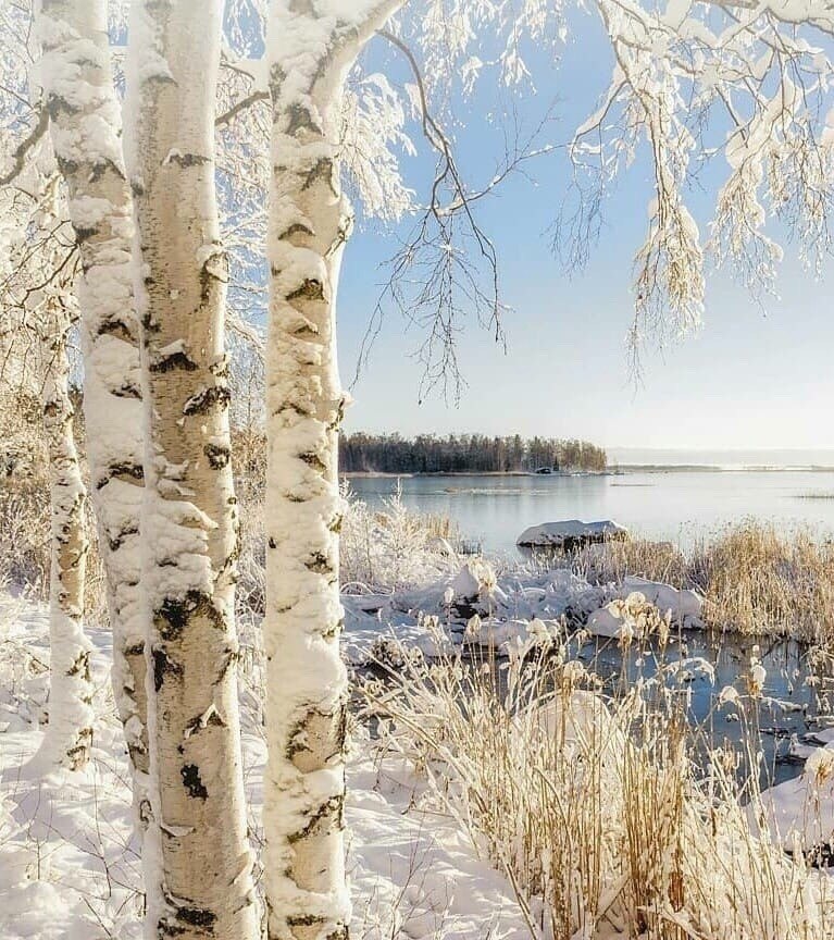 8 ноября – Дмитрий. День великомученика Димитрия Солунского. Последний день Дедовской недели. ...