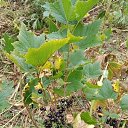 ���� �����, ������, 40 ��� - ��������� 26 ������� 2022 � ������ ������