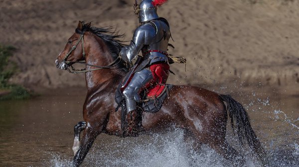 Интересно.Насколько рослыми были кони рыцарей Европы? В 2019 году вышло любопытное исследование, ...