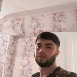 ����, �������, 36 ���