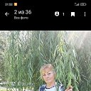  , , 60  -  3  2022