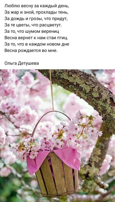   - 26  2022  07:43