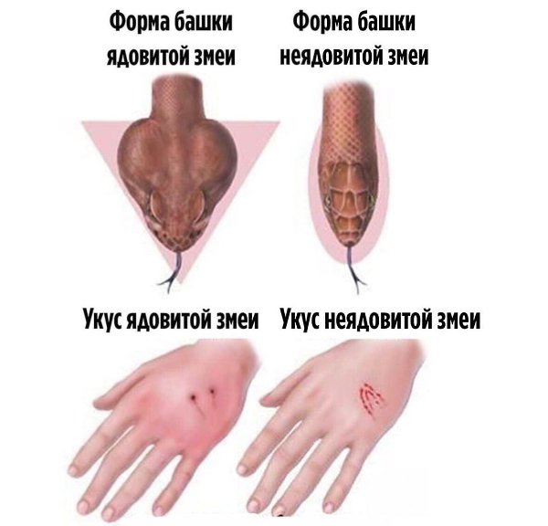  - 10  2022  15:16