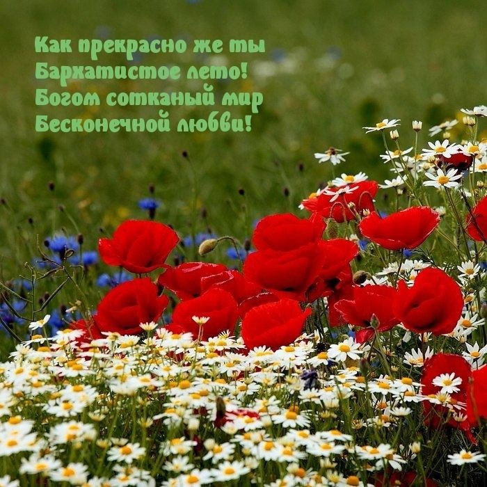   ,    . - 27  2022  19:01